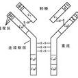 抗體酶