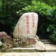 保城鎮 保城鎮