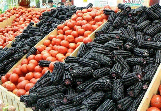 黑玉米種植