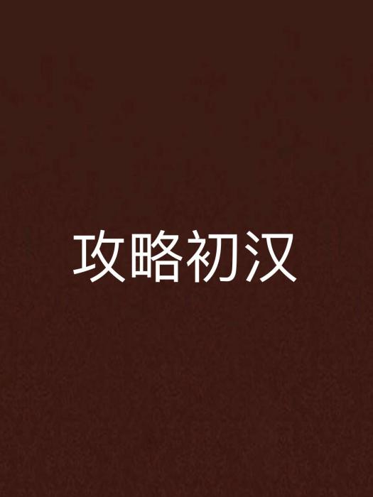 攻略初漢 攻略初漢