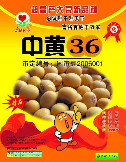 中黃36 中黃36