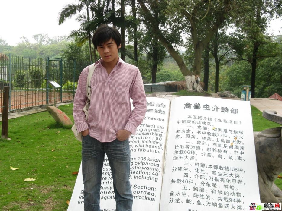 慕雲飛揚 慕雲飛揚