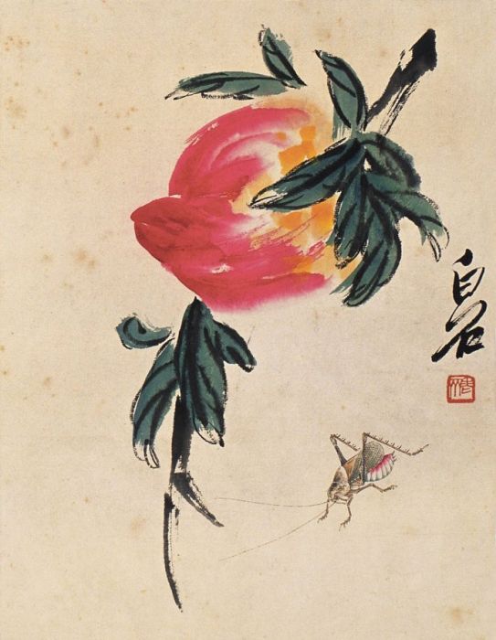 壽桃草蟲 壽桃草蟲
