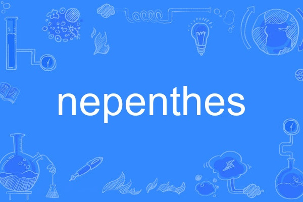 nepenthes nepenthes