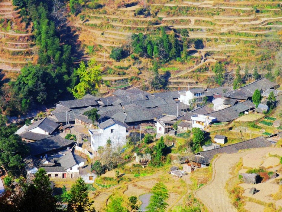 衡里爐村 衡里爐村