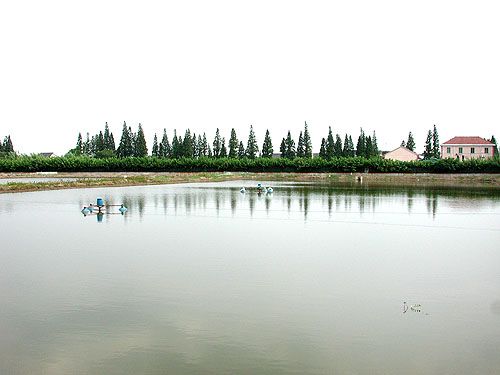 桃北村(浙江省海鹽縣百步鎮桃北村) 桃北村(浙江省海鹽縣百步鎮桃北村)