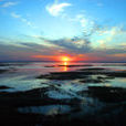 河北衡水湖國家級自然保護區