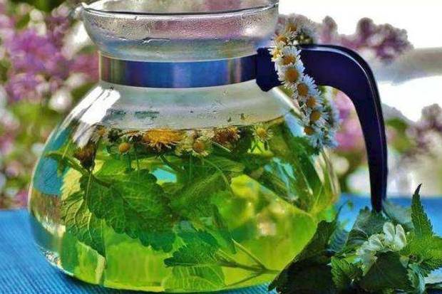 青蒿梅冬茶 青蒿梅冬茶
