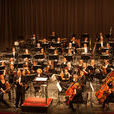 匈牙利國家交響樂團