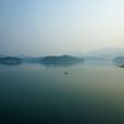 東白湖 東白湖