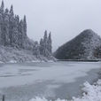 雪峰山國家森林公園(雪峰山國家森林公園) 雪峰山國家森林公園(雪峰山國家森林公園)