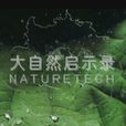大自然啟示錄 大自然啟示錄