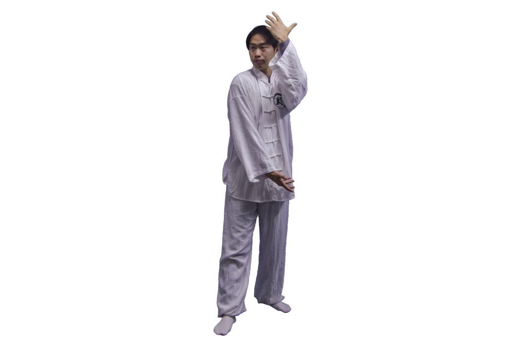 趙飛(非遺文化形意(心意)拳術第六代傳人) 趙飛(非遺文化形意(心意)拳術第六代傳人)