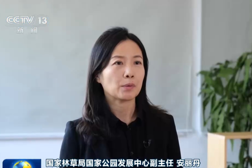 安麗丹 安麗丹