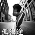 孤狼途 孤狼途