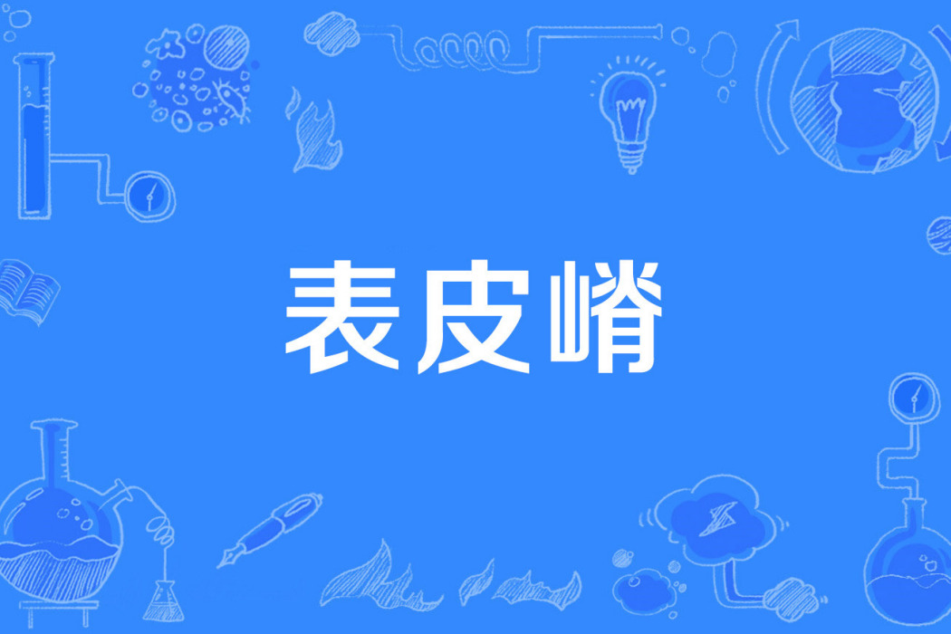 表皮嵴 表皮嵴