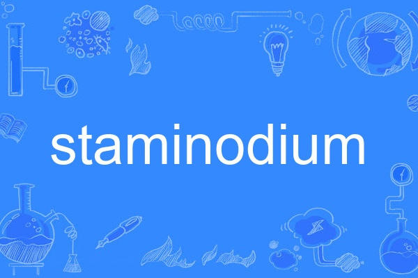staminodium staminodium