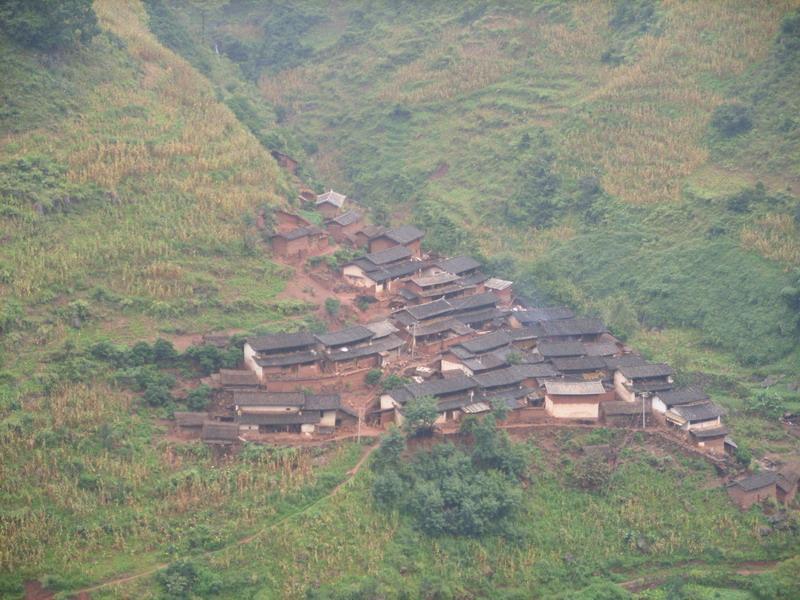 支倮箐村 支倮箐村