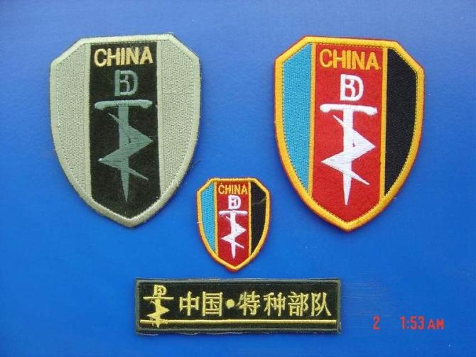 中國陸軍特種部隊