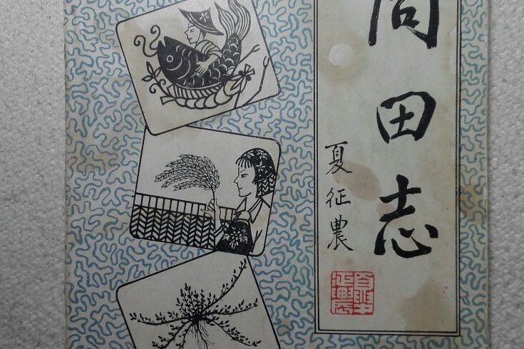 同田志 同田志