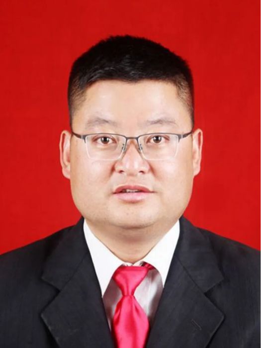 何陶(甘肅省隴南市禮縣鹽官鎮黨委書記)