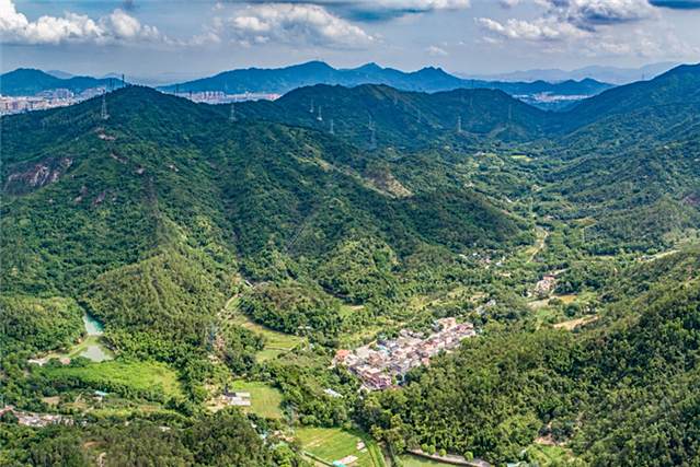 南坑村(廣東省中山市五桂山街道下轄革命老區村) 南坑村(廣東省中山市五桂山街道下轄革命老區村)