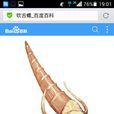 軟舌螺 軟舌螺