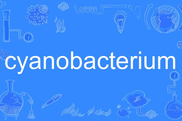 cyanobacterium cyanobacterium