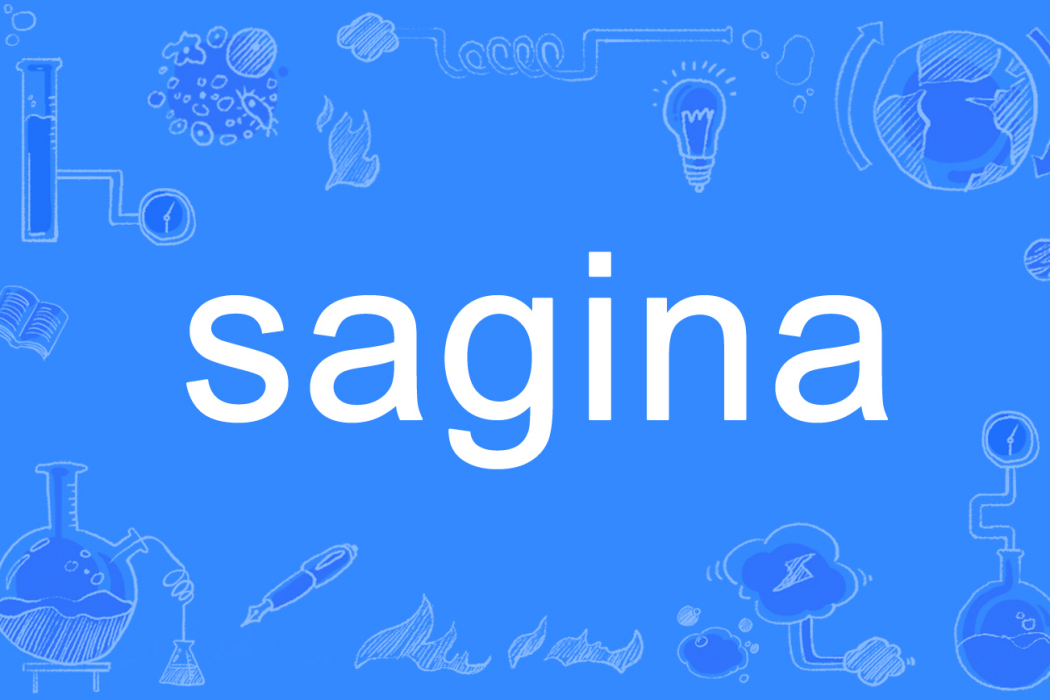 sagina