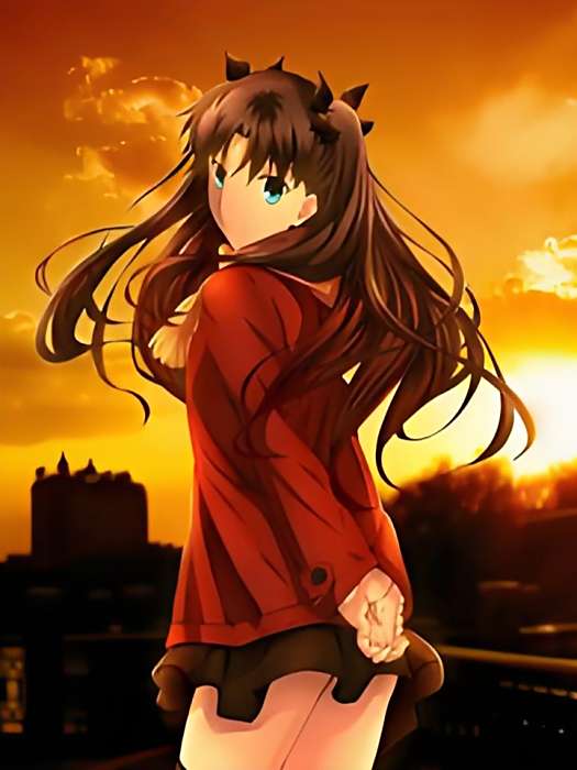 二次元圓環