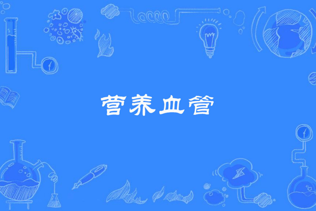 營養血管 營養血管