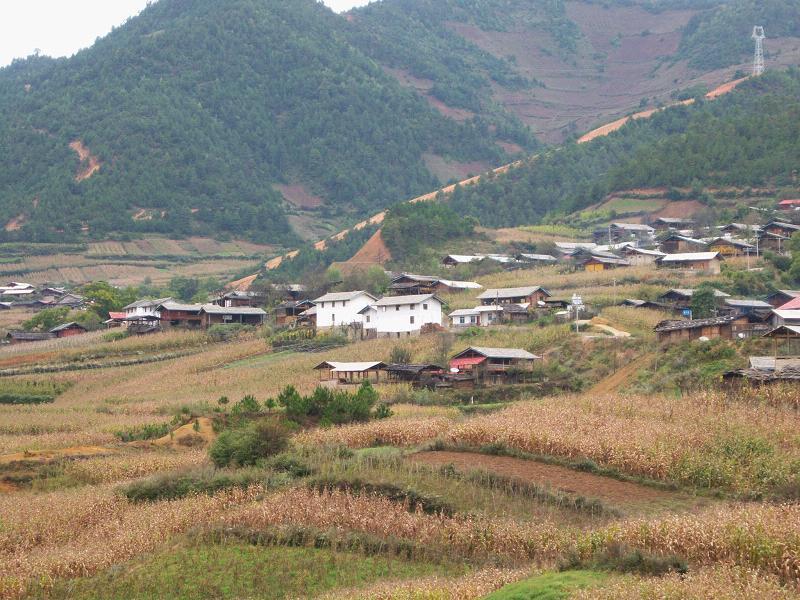 臘八底村 臘八底村