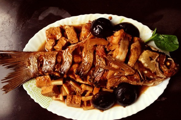 豆腐燒鯉魚 豆腐燒鯉魚