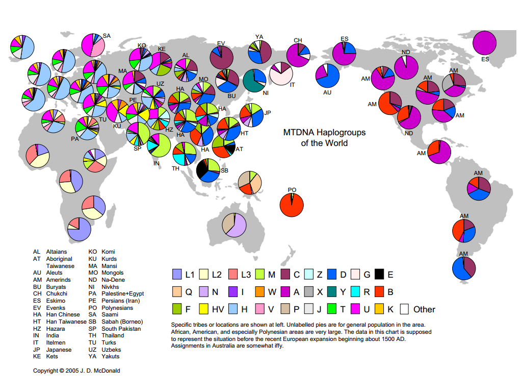 世界人類線粒體DNA單倍群分布圖