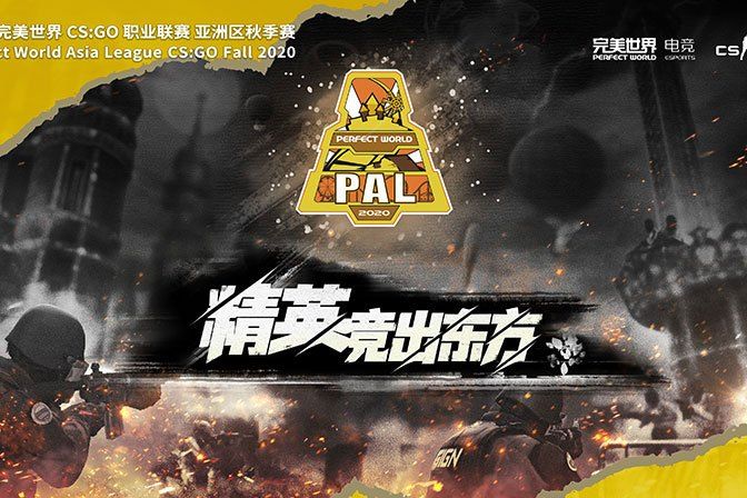 PAL(完美世界代理的反恐精英：全球攻勢職業聯賽)