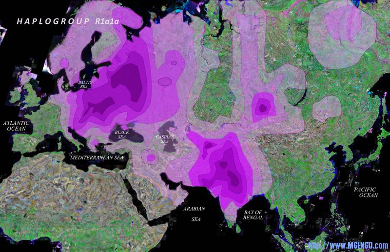 R1a1a-M17在歐亞族群中的分布