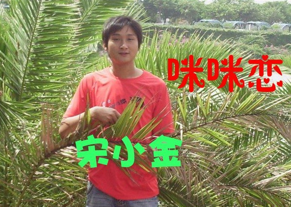 咪咪戀 咪咪戀
