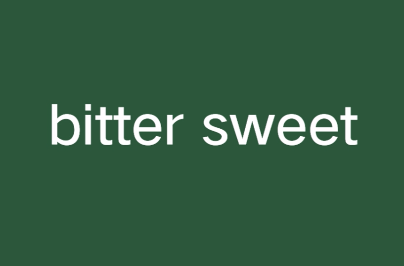 bitter sweet(小說)