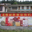 龍塔村 龍塔村