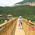 高寨村(福建漳州平和高寨村) 高寨村(福建漳州平和高寨村)