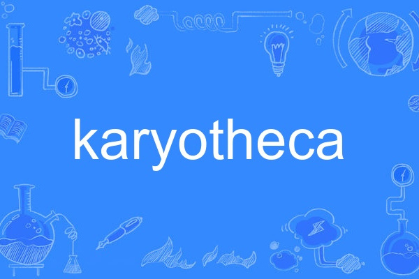 karyotheca karyotheca
