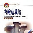 杏鮑菇栽培 杏鮑菇栽培