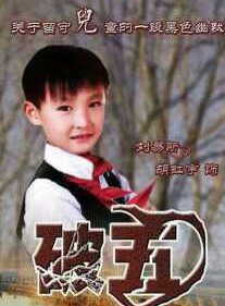 胡洪宇 胡洪宇