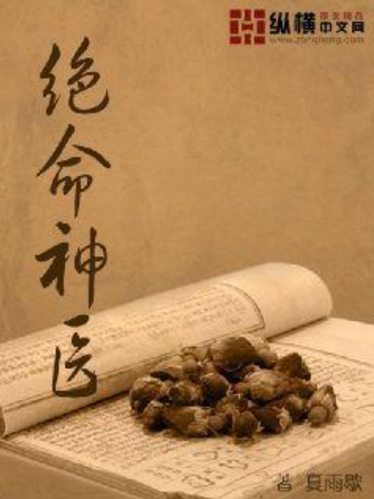 絕命神醫(夏雨歇所著小說) 絕命神醫(夏雨歇所著小說)