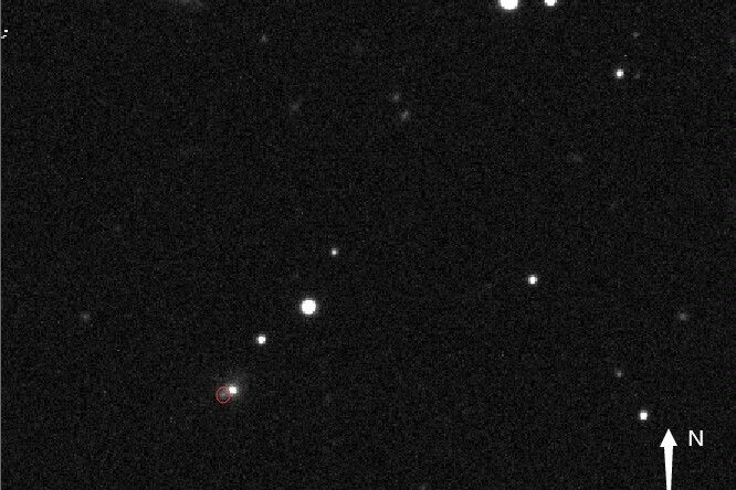 SN 2024fxo SN 2024fxo