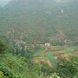 合心村(湖南省婁底市雙峰縣青樹坪鎮下轄行政村) 合心村(湖南省婁底市雙峰縣青樹坪鎮下轄行政村)