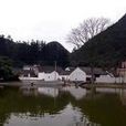 上中寨村(雲南省曲靖市富源縣古敢鄉上中寨村) 上中寨村(雲南省曲靖市富源縣古敢鄉上中寨村)