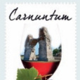 奧地利葡萄酒著名產地系列：卡農頓