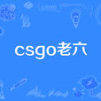 csgo老六 csgo老六