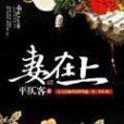 妻在上 妻在上